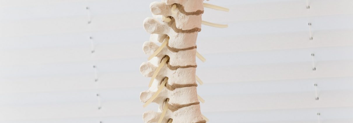 Chiropractor Springfield, IL